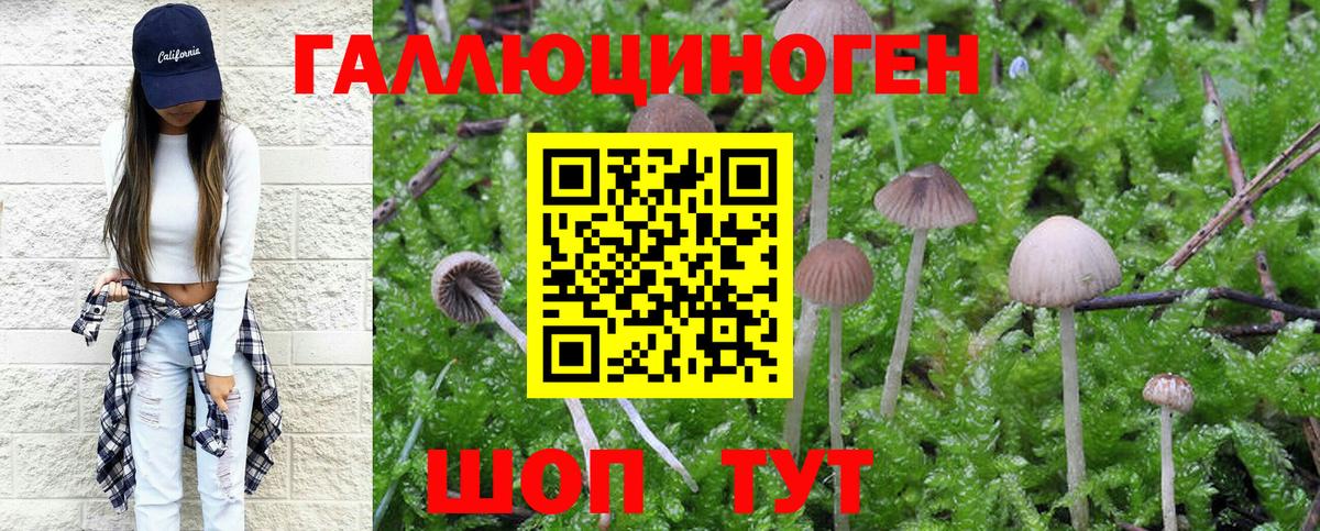 Прокопьевск  Псилоцибиновые грибы Magic Shrooms  Псилоцибиновые грибы MAGIC MUSHROOMS  Вход с VPN 